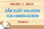Dẫn xuất Halogen là gì? Tính chất vật lý, tính chất hóa học...
